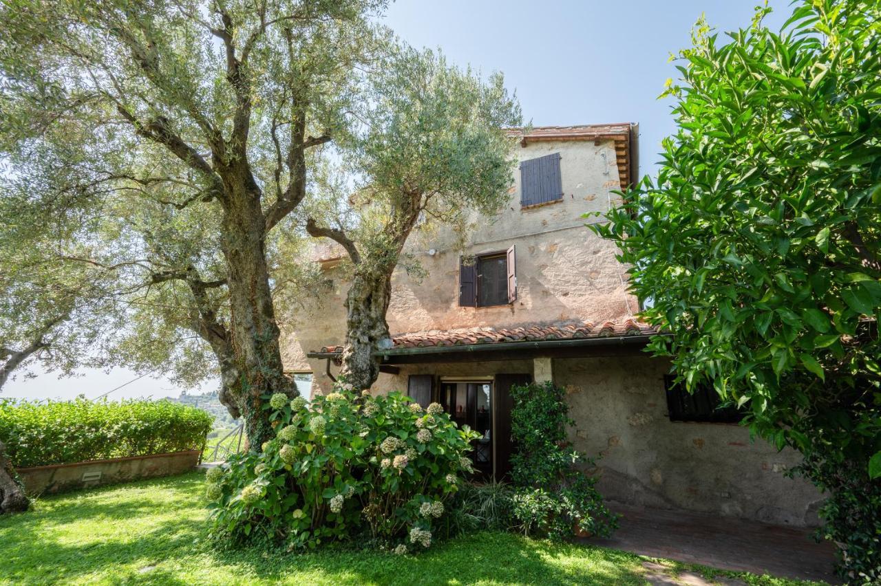 Villa Eden Forte Dei Marmi With Private Infinity Pool Santa Lucia  Exterior foto