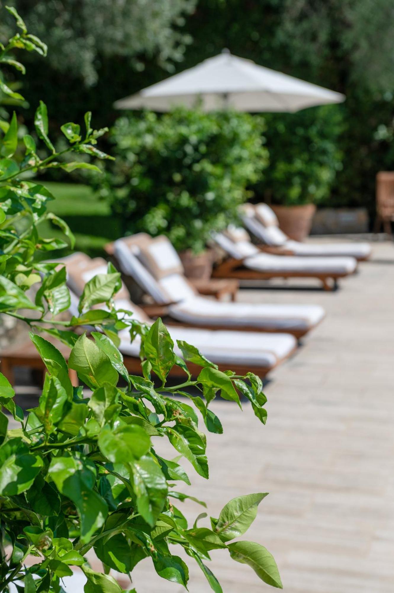 Villa Eden Forte Dei Marmi With Private Infinity Pool Santa Lucia  Exterior foto