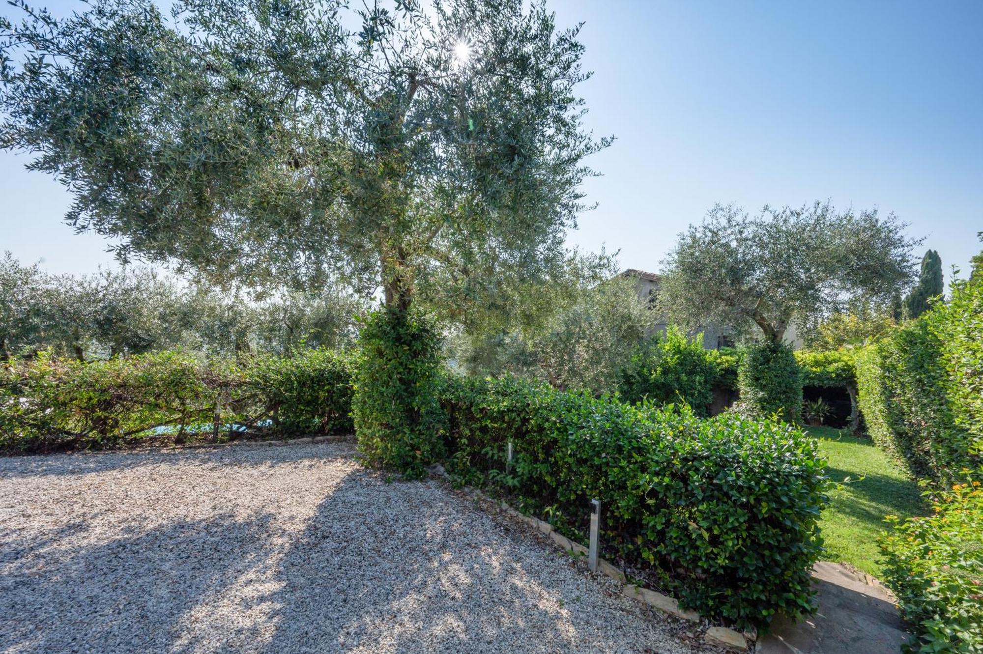 Villa Eden Forte Dei Marmi With Private Infinity Pool Santa Lucia  Exterior foto
